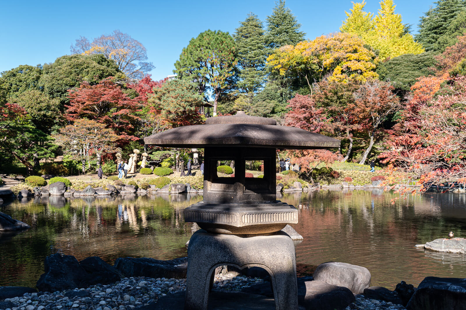 A stone lantern stands near the pond at Kyu-Furukawa Gardens, with autumn trees and the Japanese garden beyond.