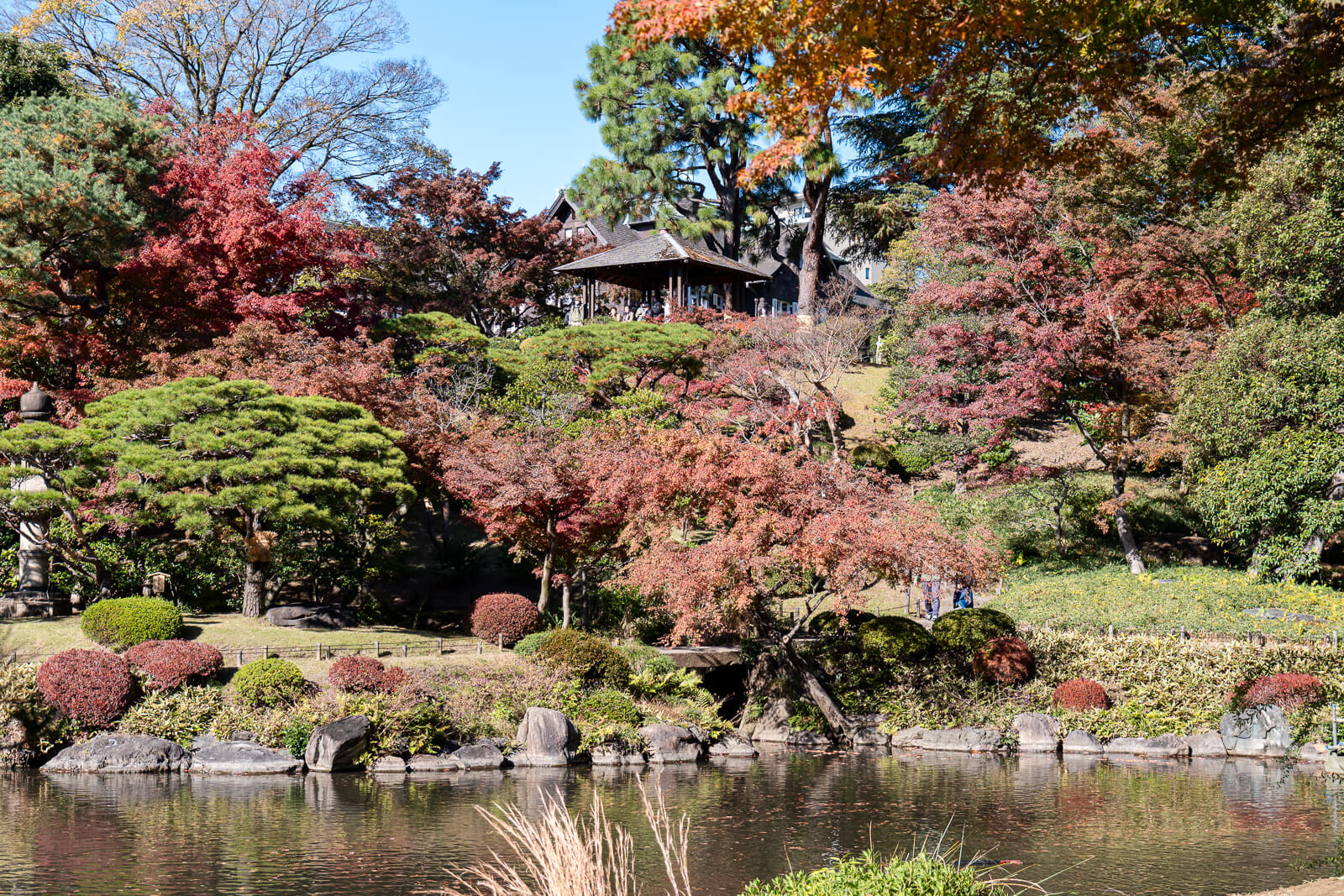 Red and orange trees surround a traditional garden structure above the pond at Kyu-Furukawa Gardens, with pines nearby.