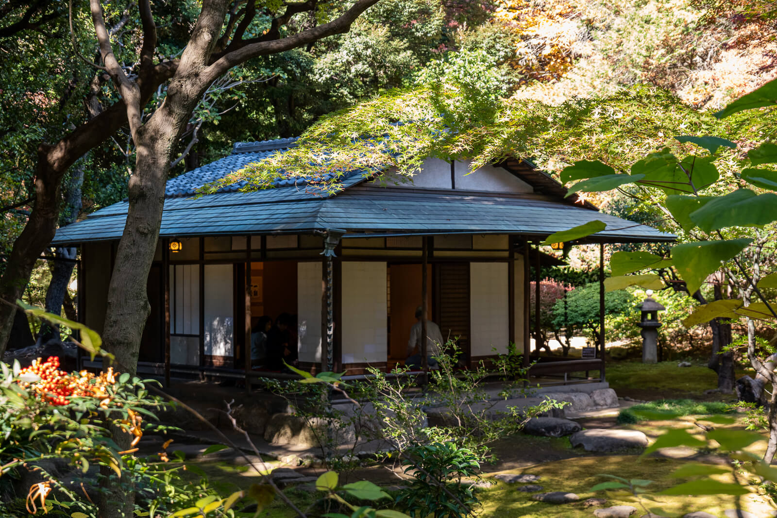 A traditional teahouse at Kyu-Furukawa Gardens sits among trees, with sunlight reaching its roof and open front.