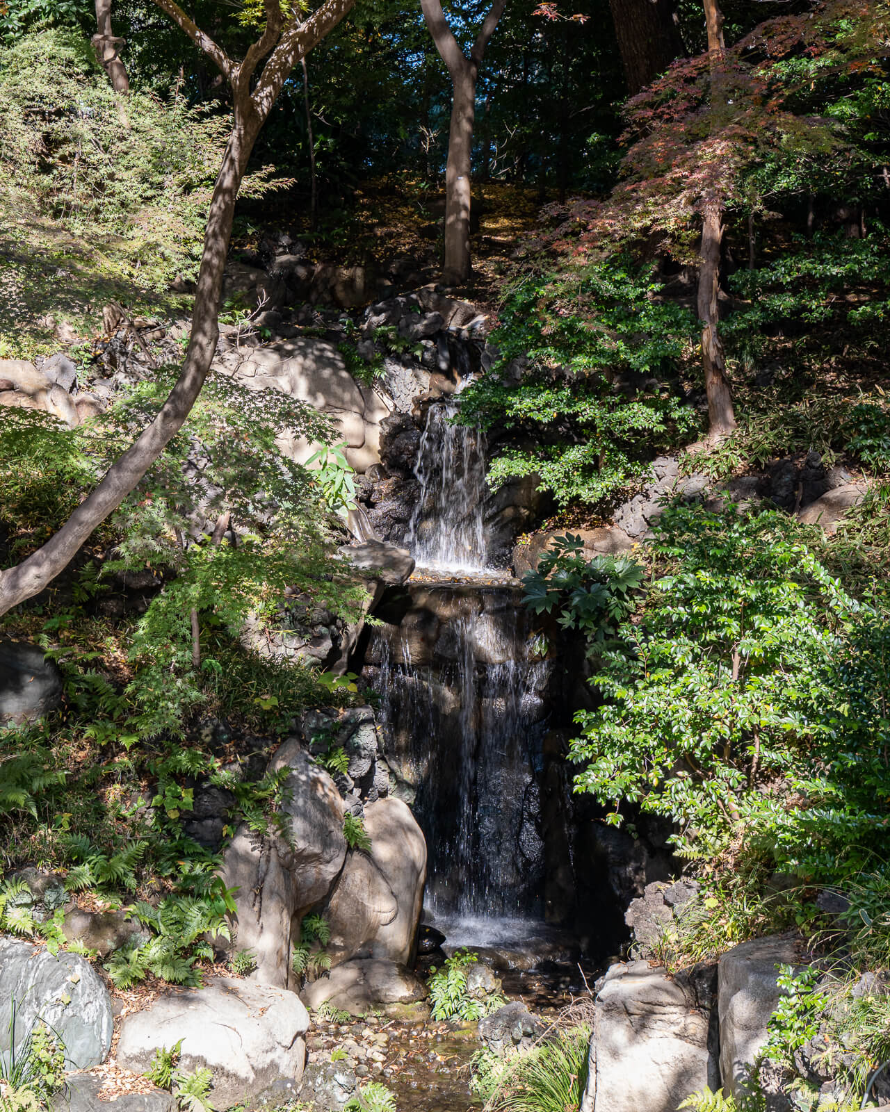 A small cascade passes over rocks in Kyu-Furukawa Gardens’ lower Japanese garden, surrounded by moss and shaded greenery.