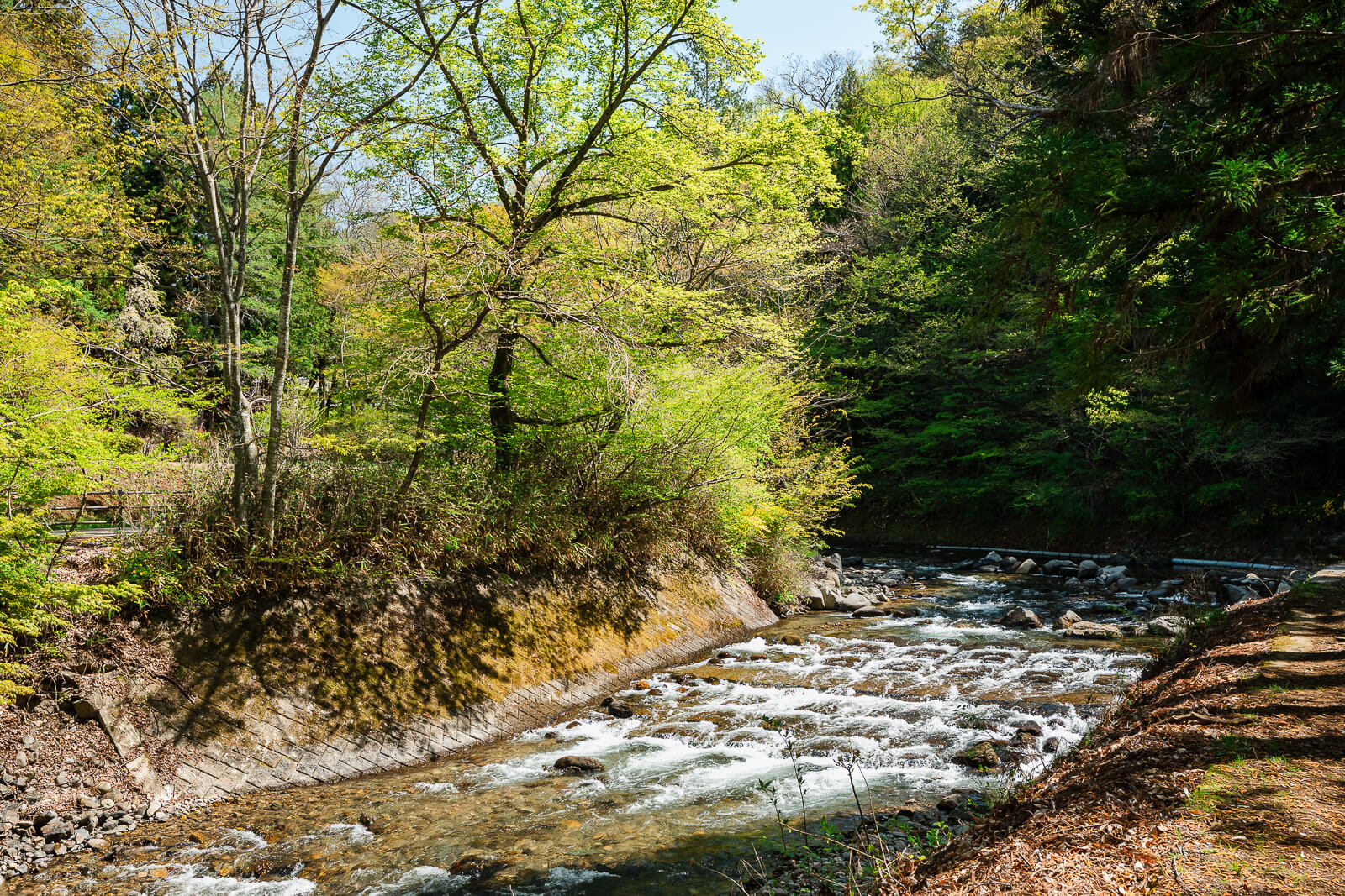 To River flowing beside the wooded route to Manji Stone Buddha in Shimosuwa.