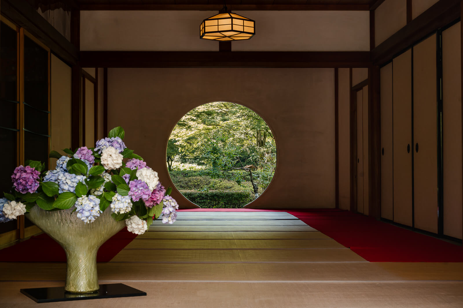 Hydrangea arrangement beside the circular Window of Enlightenment inside Meigetsu-in Temple in Kita-Kamakura