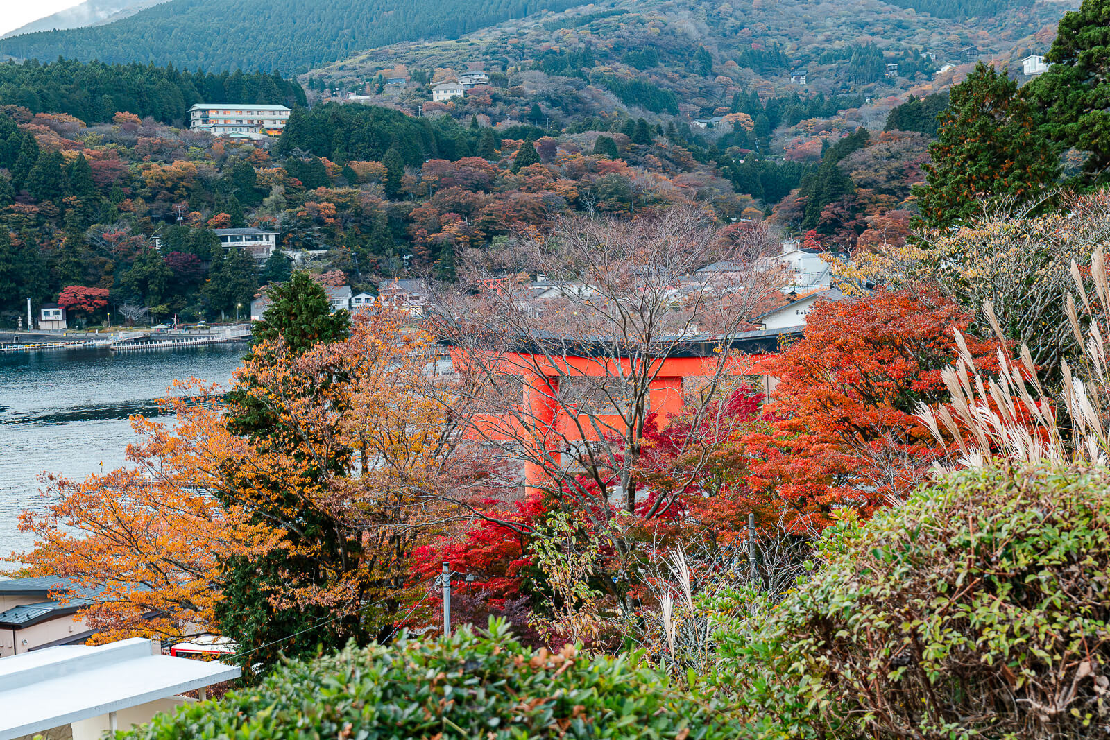 Autumn foliage surrounding the garden at Narukawa Art Museum overlooking Lake Ashi in Hakone