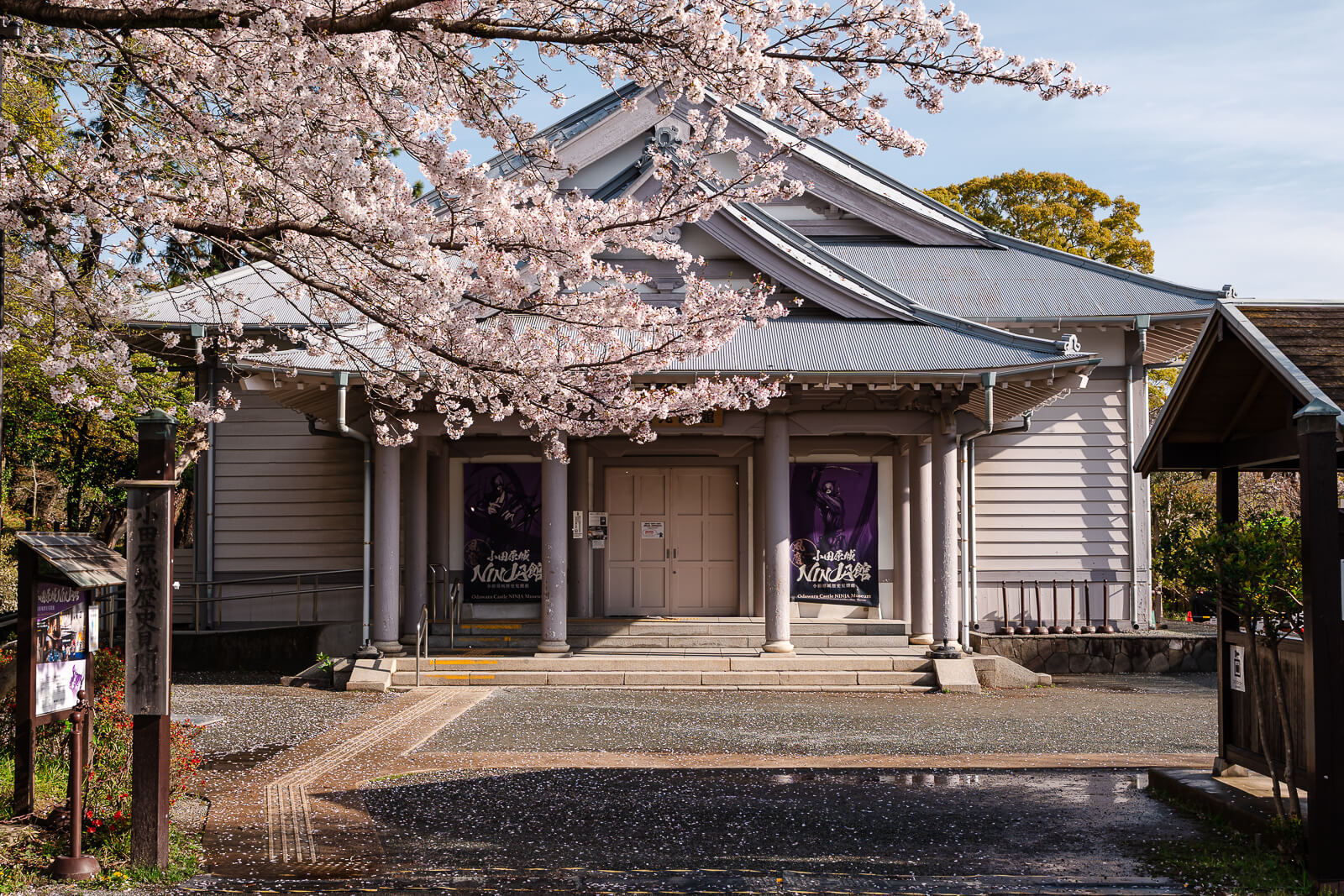 Exterior of Odawara Castle Ninja Museum building with cherry blossoms in spring