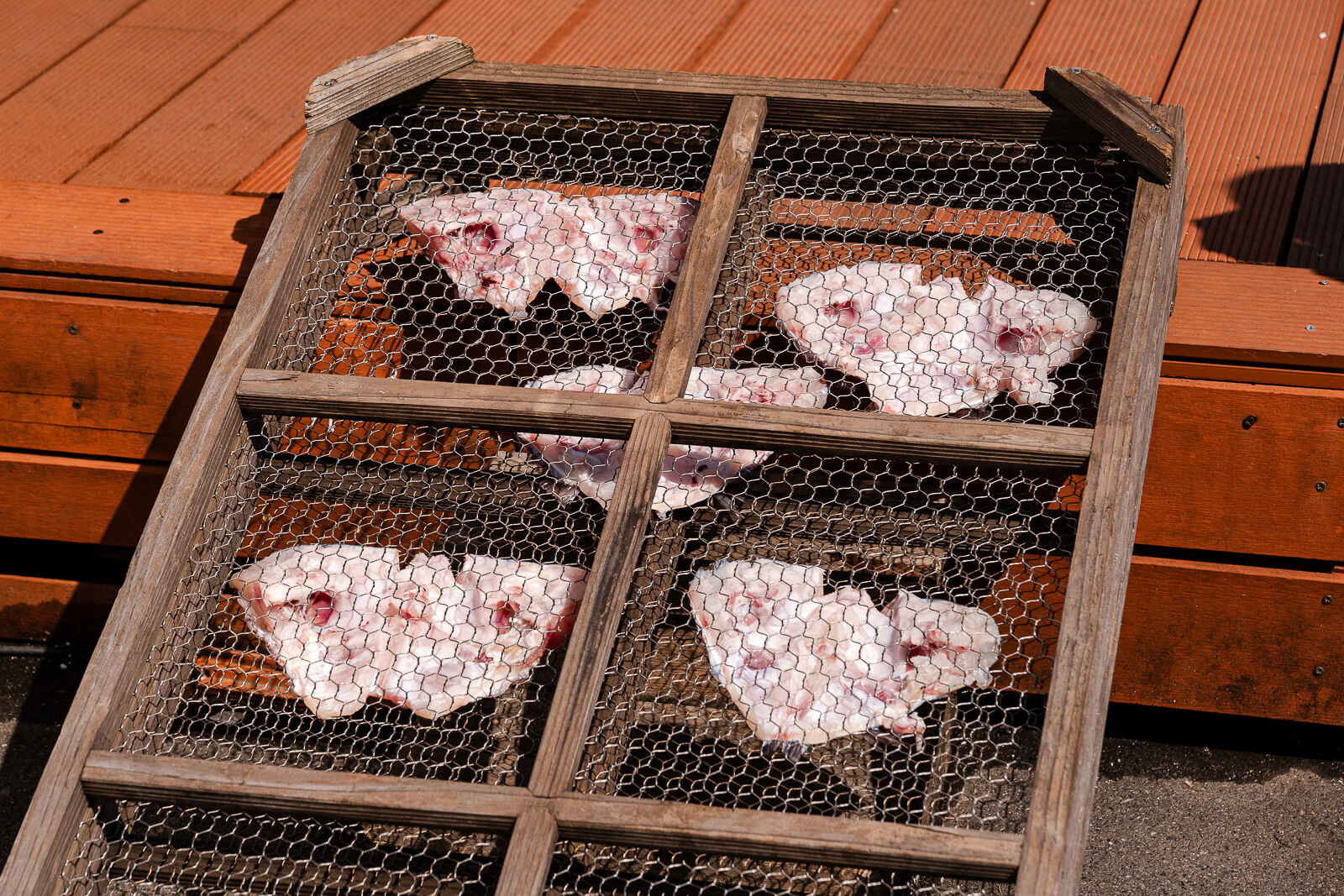 packaged fresh fish trays in Odawara Fishing Port