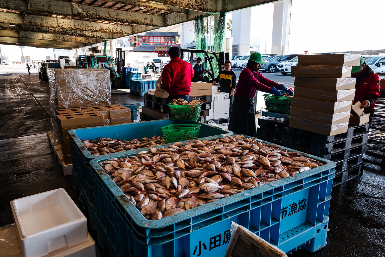 fish crates and working port activity in Hayakawa