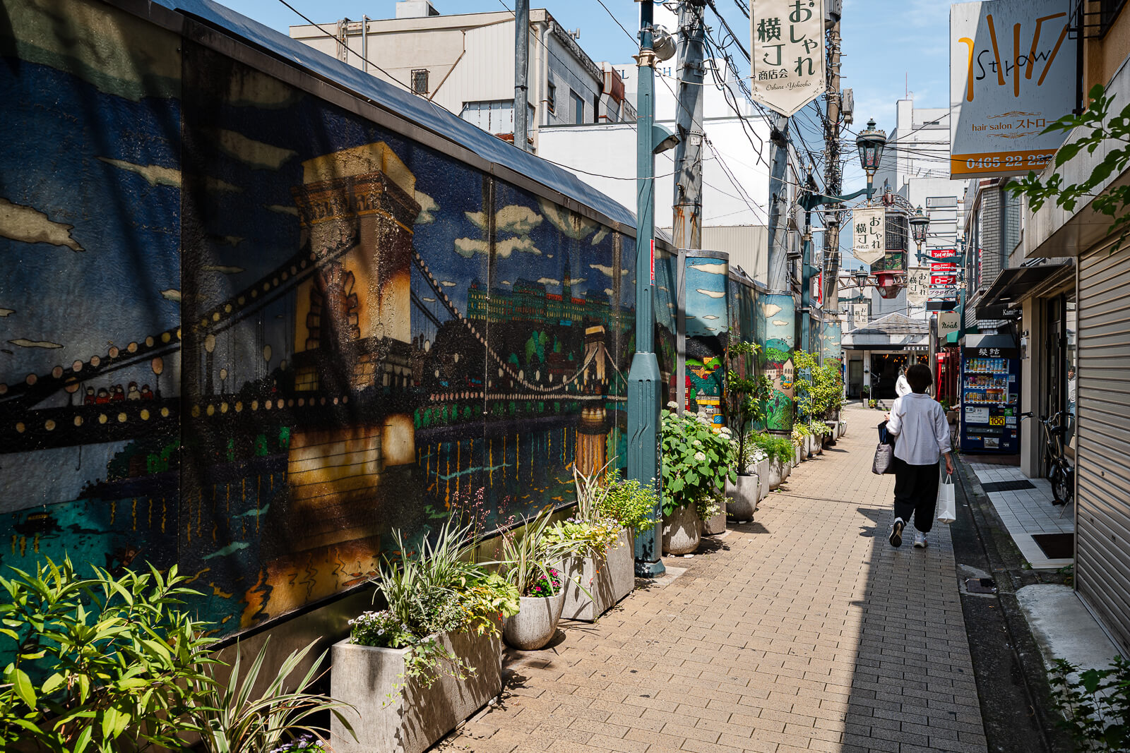 Quiet pedestrian stretch with shops and plants on Higashidori Shopping Street in Odawara