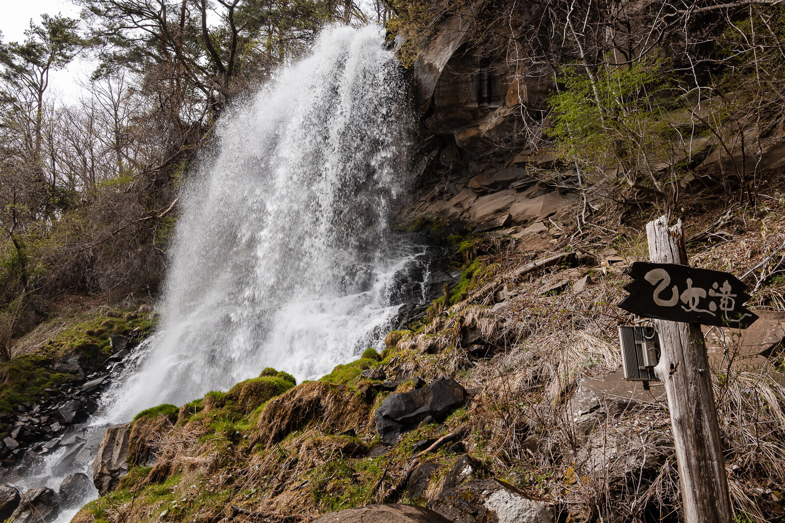 Otome Falls dropping through the forested Yokoya Gorge in Chino, Nagano