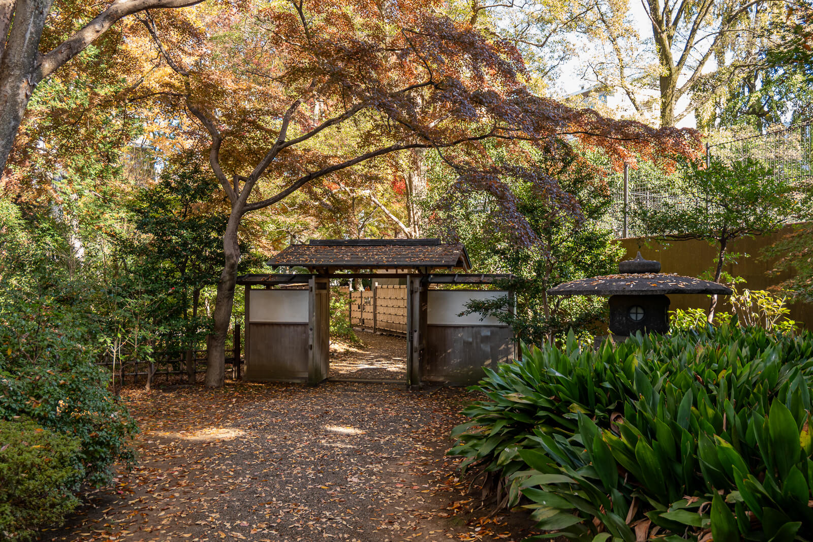 A traditional garden pavilion sits under spreading autumn trees at Rikugien Gardens, with visitors resting in its shade.