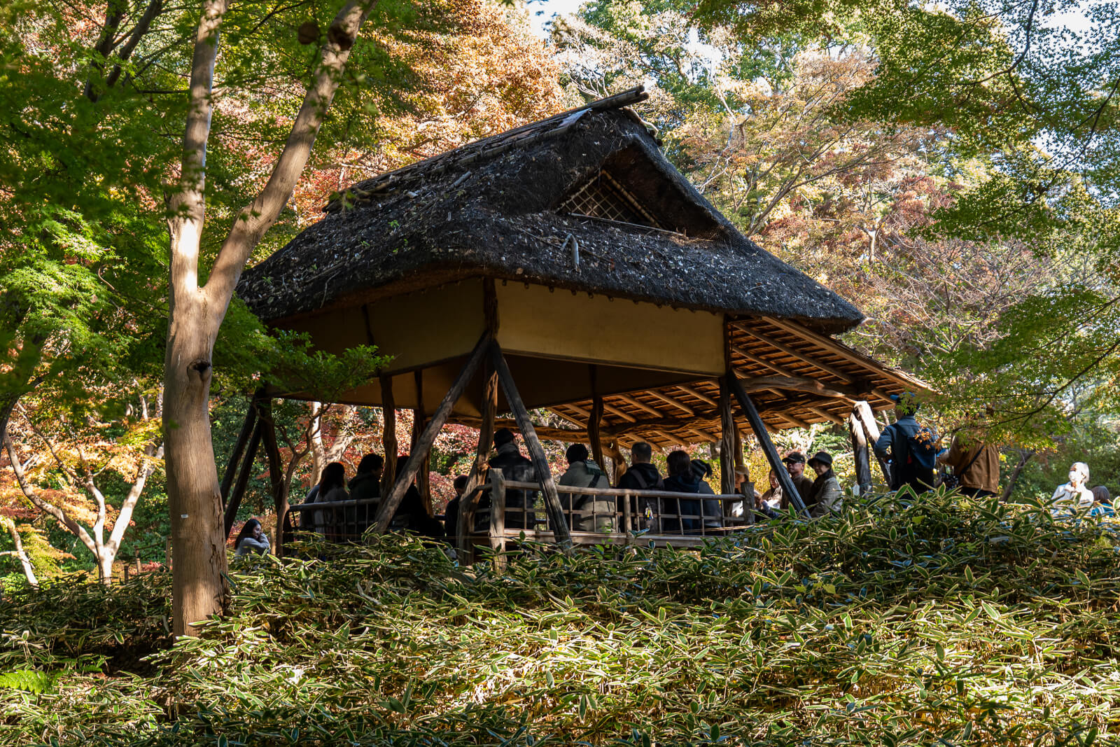 A thatched-roof pavilion at Rikugien Gardens shelters visitors beside a garden path, surrounded by orange and green foliage.