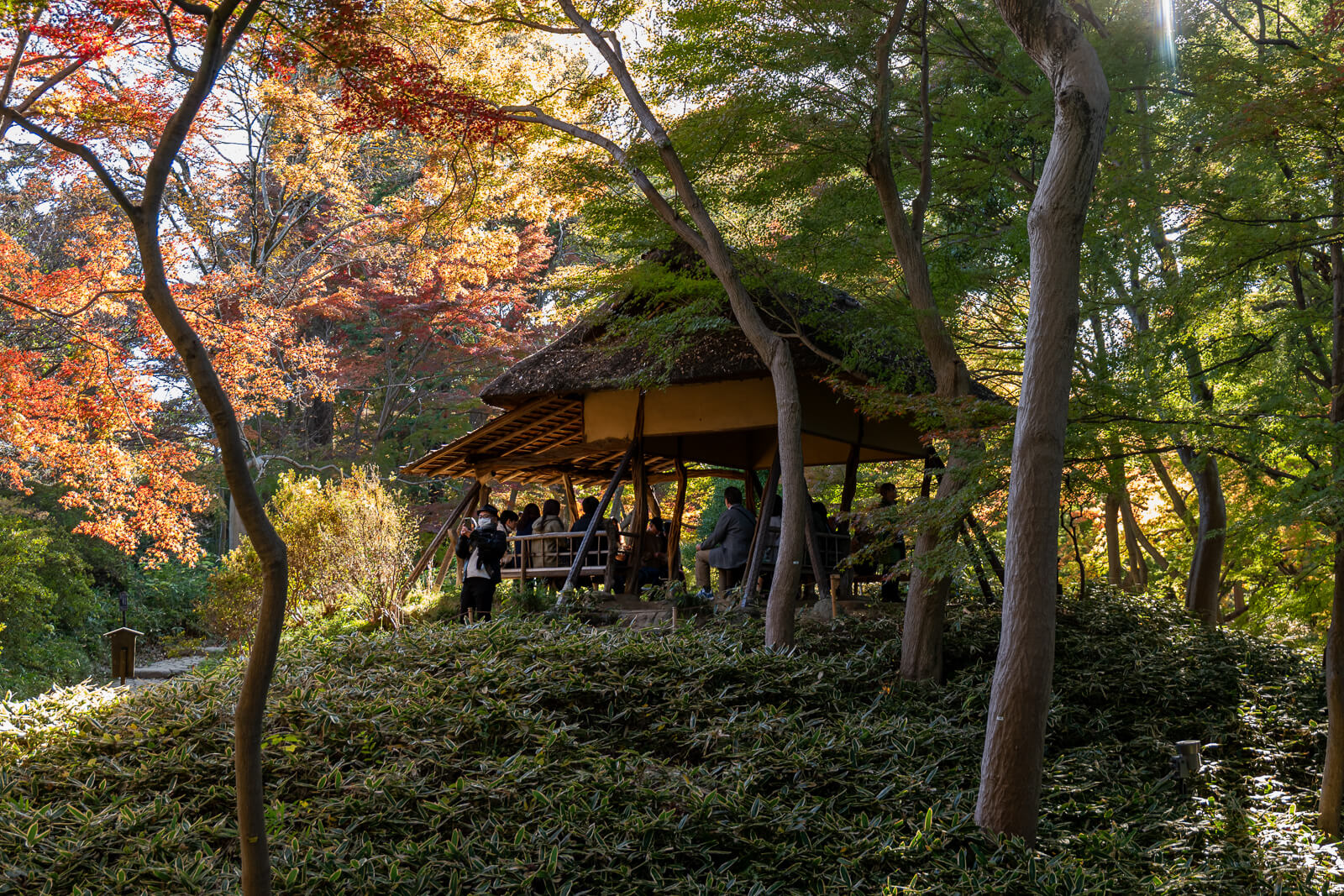A wooden pavilion sits beneath branching autumn trees at Rikugien Gardens, with people resting along the shaded path.