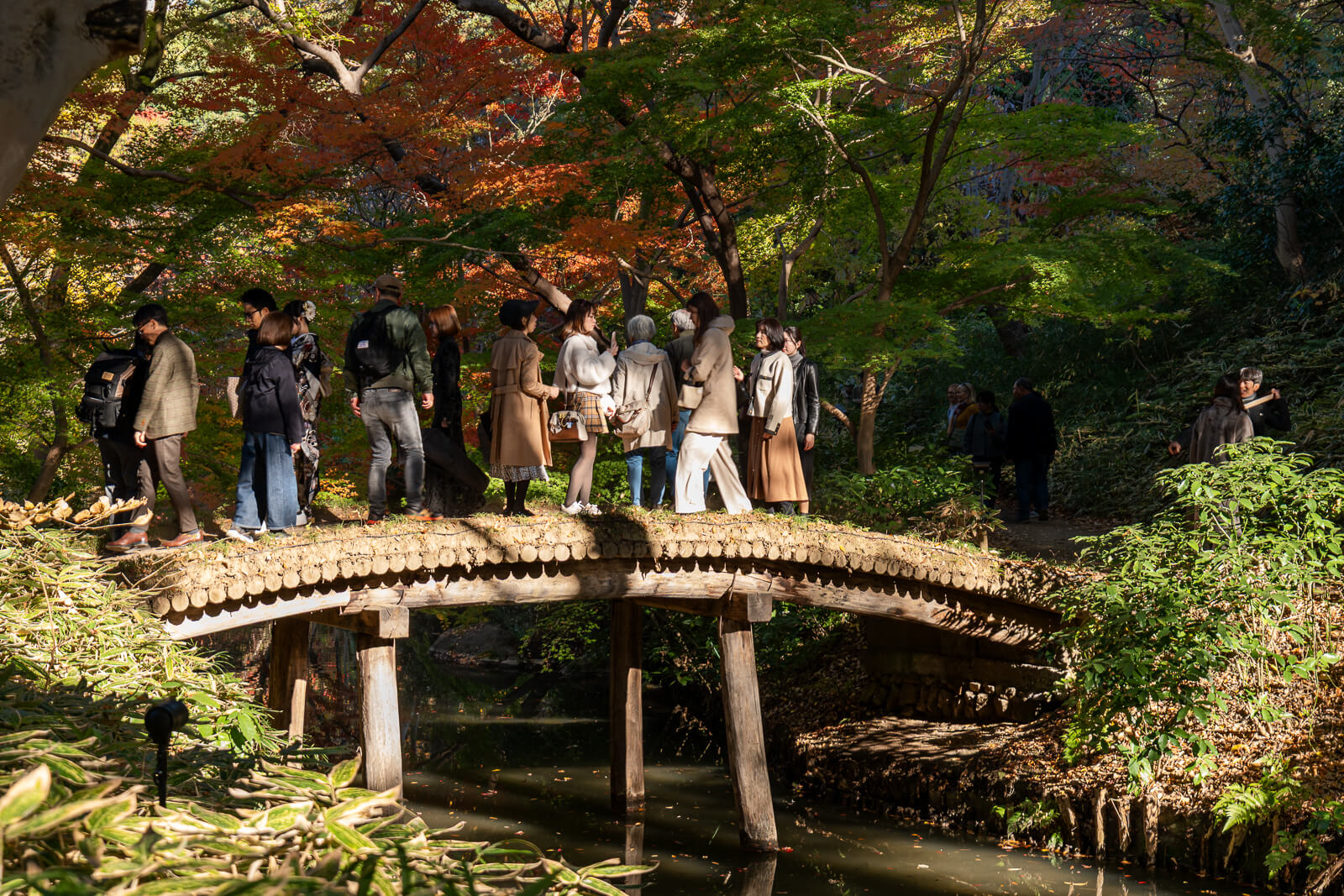 Visitors gather along a shaded path beneath orange and green autumn trees at Rikugien Gardens in Tokyo.