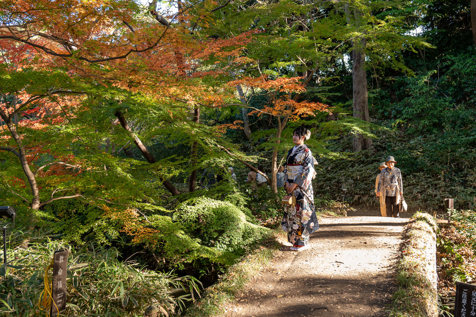 Visitors walk a garden path under red and green maples at Rikugien, with rocks and moss beside the route.