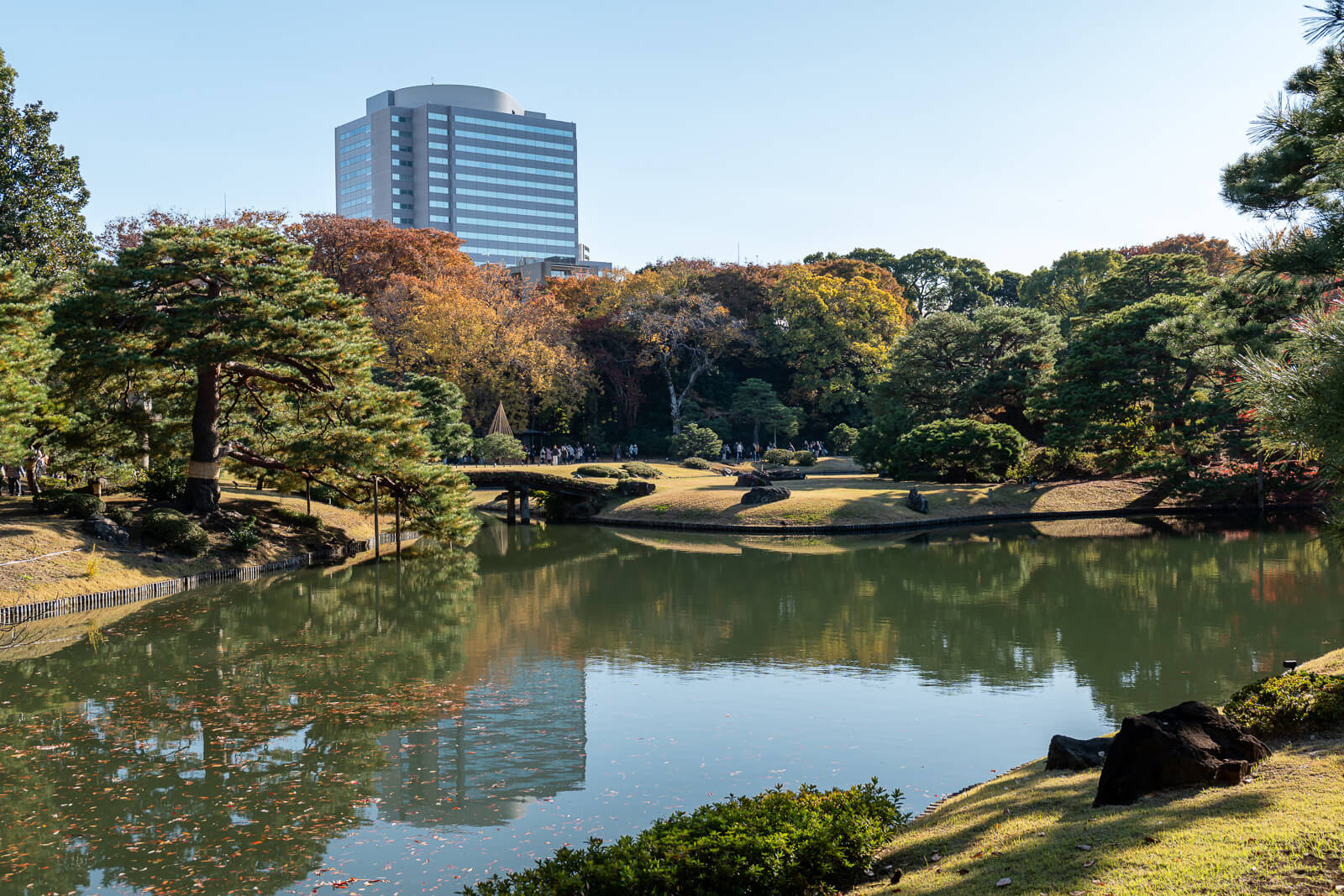 Rikugien’s pond lies beneath mixed autumn trees, with a modern building rising beyond the garden and bridge.