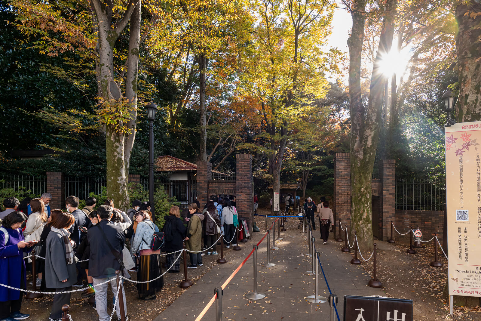 Low sunlight filters through yellow autumn trees at Rikugien Gardens, illuminating visitors and a traditional pavilion among the trunks.