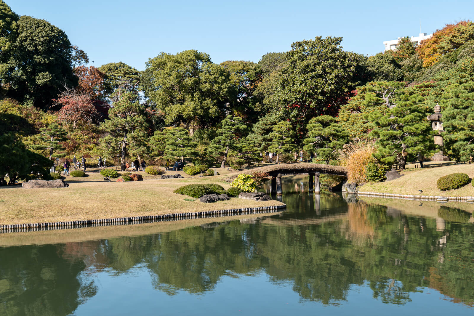 A stone bridge crosses water at Rikugien Gardens, leading toward shaped pines and autumn trees beneath a clear sky.