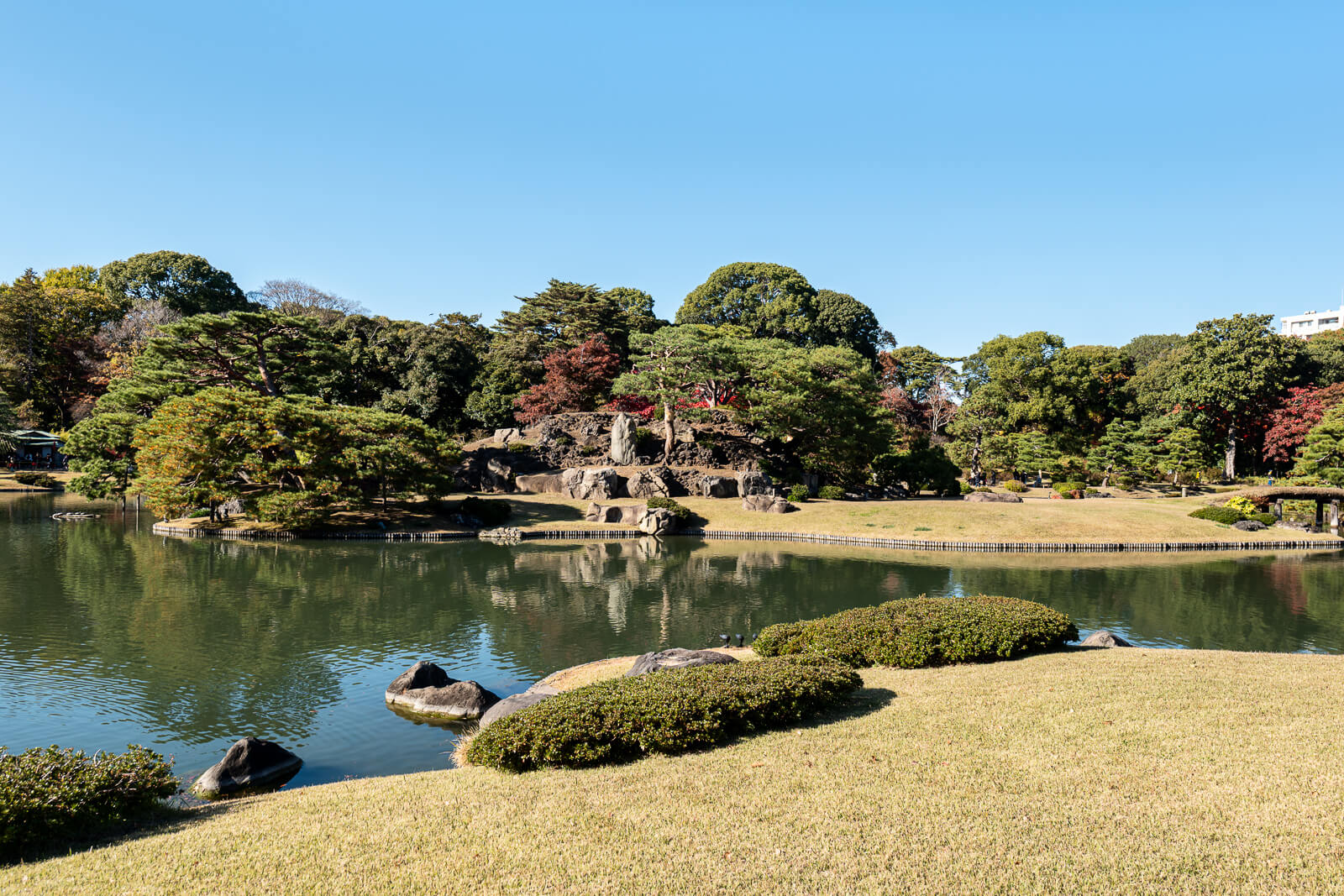 Rikugien’s pond reflects manicured pines and autumn trees under blue sky, with a garden island across the water.