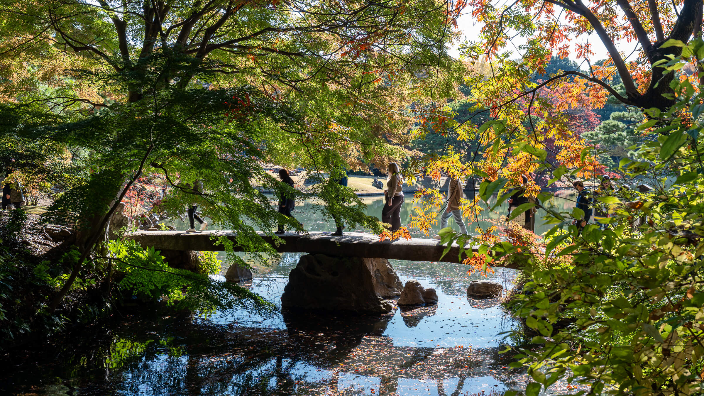 Rikugien Gardens: An Autumn Walk Around Ponds and Pines