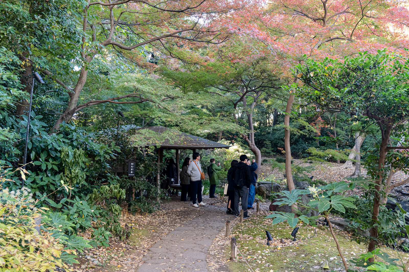 Visitors on a shaded path beside a small pavilion, surrounded by green and pink autumn foliage at Rikugien Gardens in Tokyo.