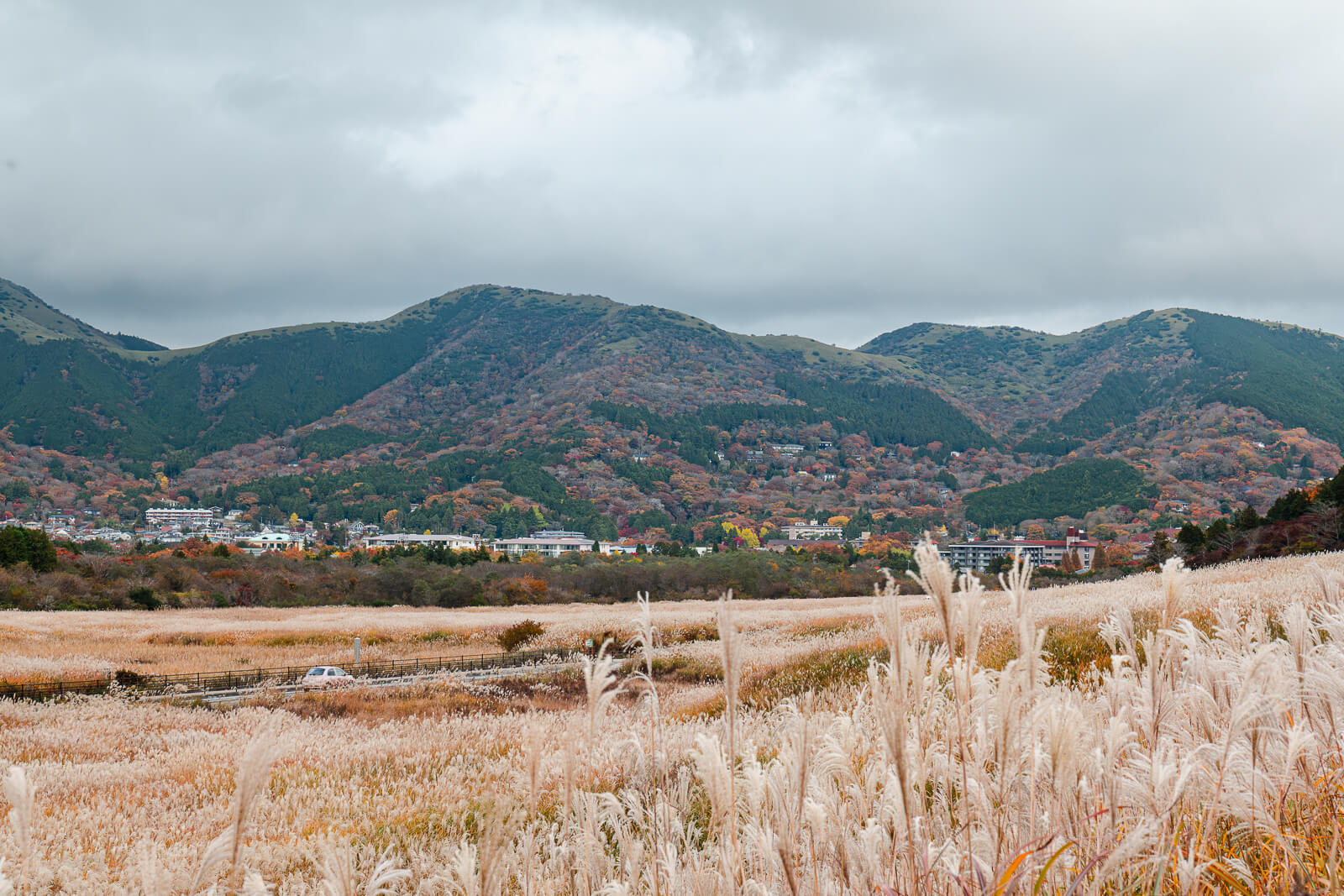 Sengokuhara buildings below cloud-covered Hakone mountains in autumn