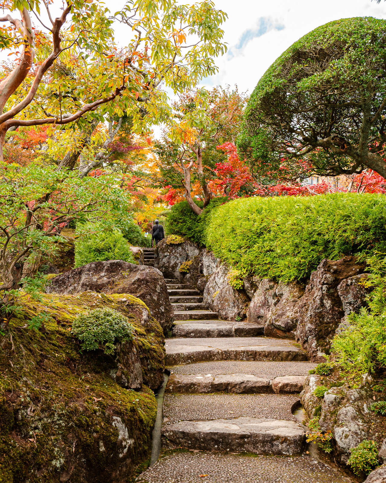 Stone steps through moss and autumn foliage at Shinsenkyo Garden in Hakone
