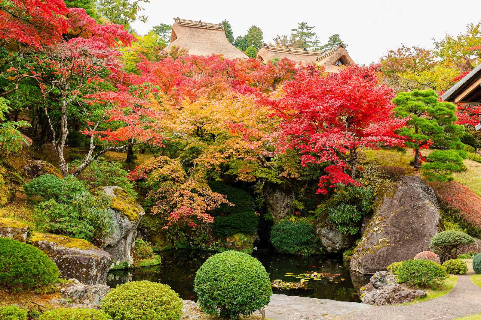 Autumn maples, shaped shrubs and stonework in Shinsenkyo Garden, Hakone