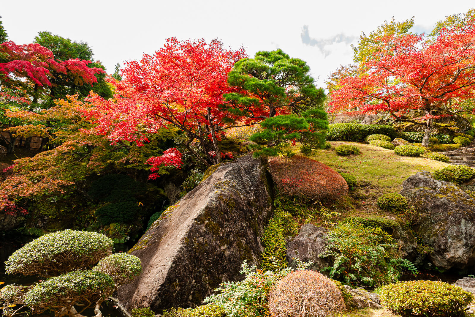 Red autumn maples beside large stones and moss at Shinsenkyo Garden in Hakone