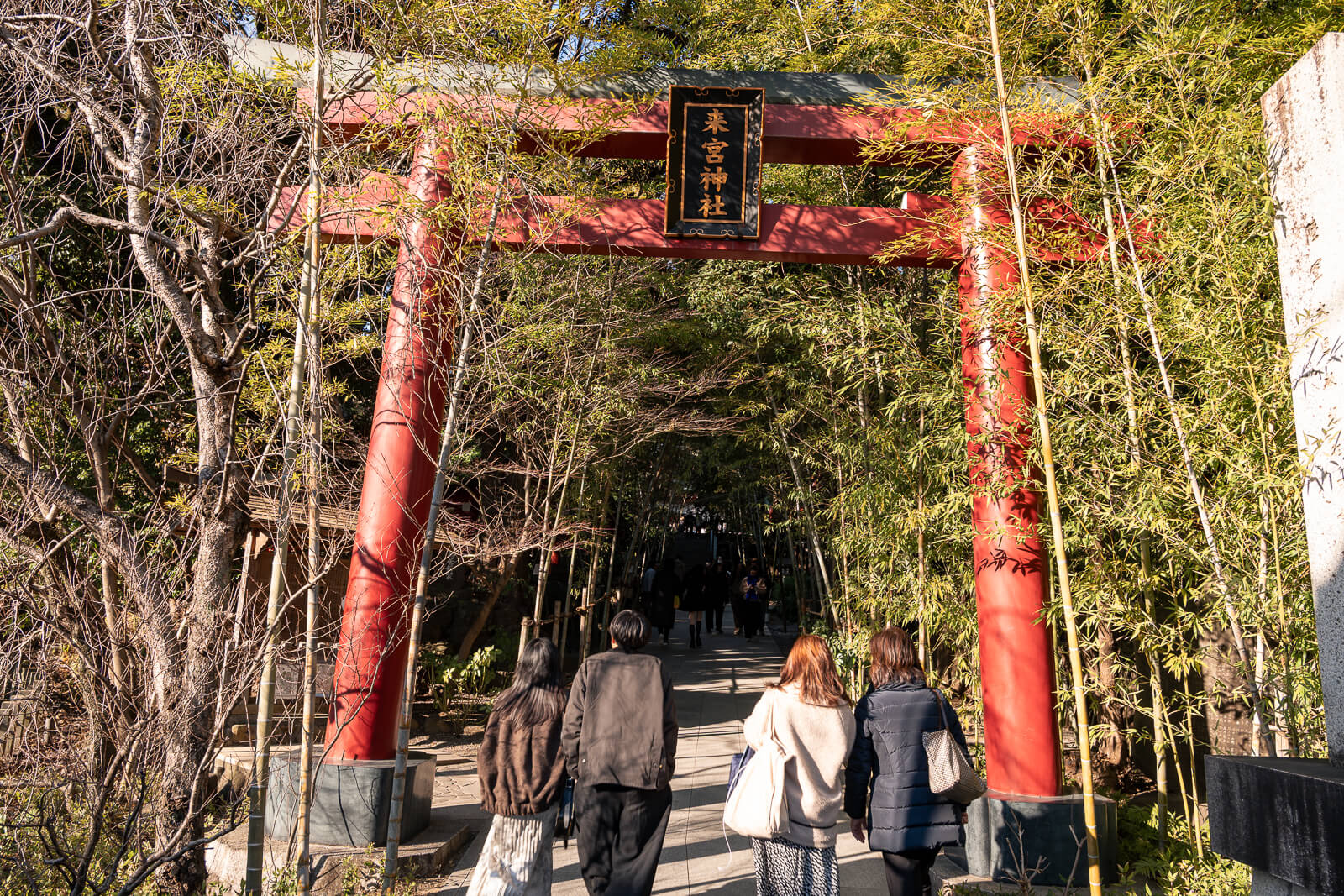 Torii gate entrance leading into Kinomiya Shrine grounds through bamboo forest