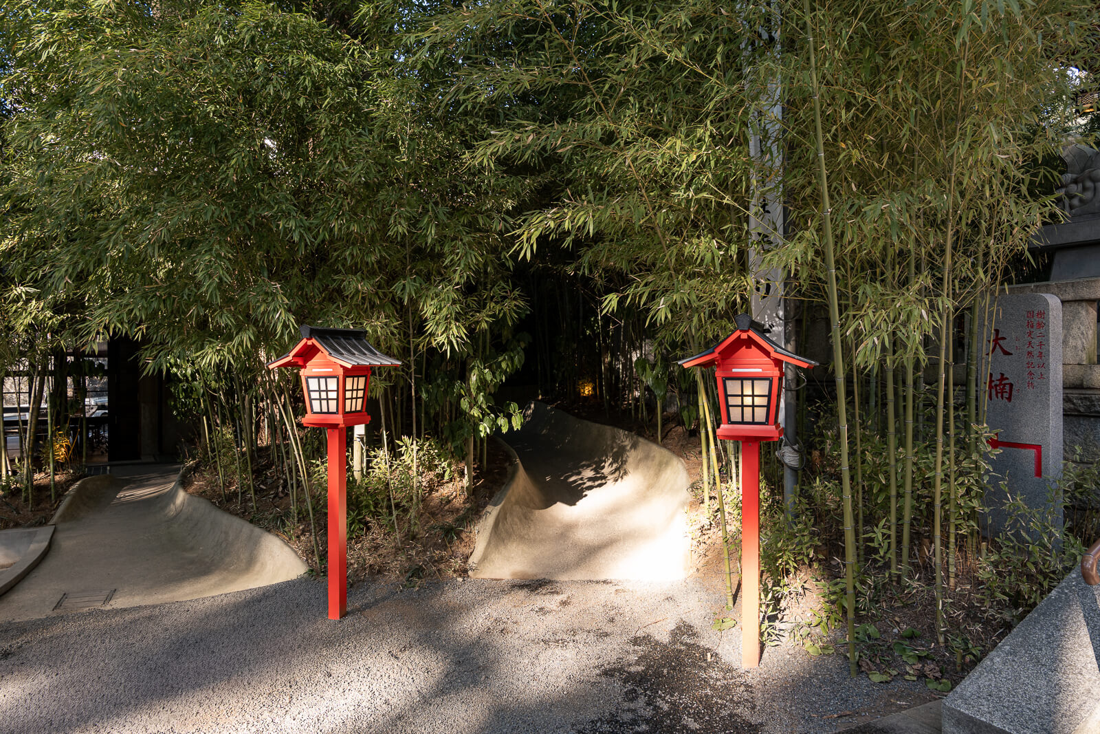 Bamboo-lined approach path leading down toward the main camphor tree at Kinomiya Shrine