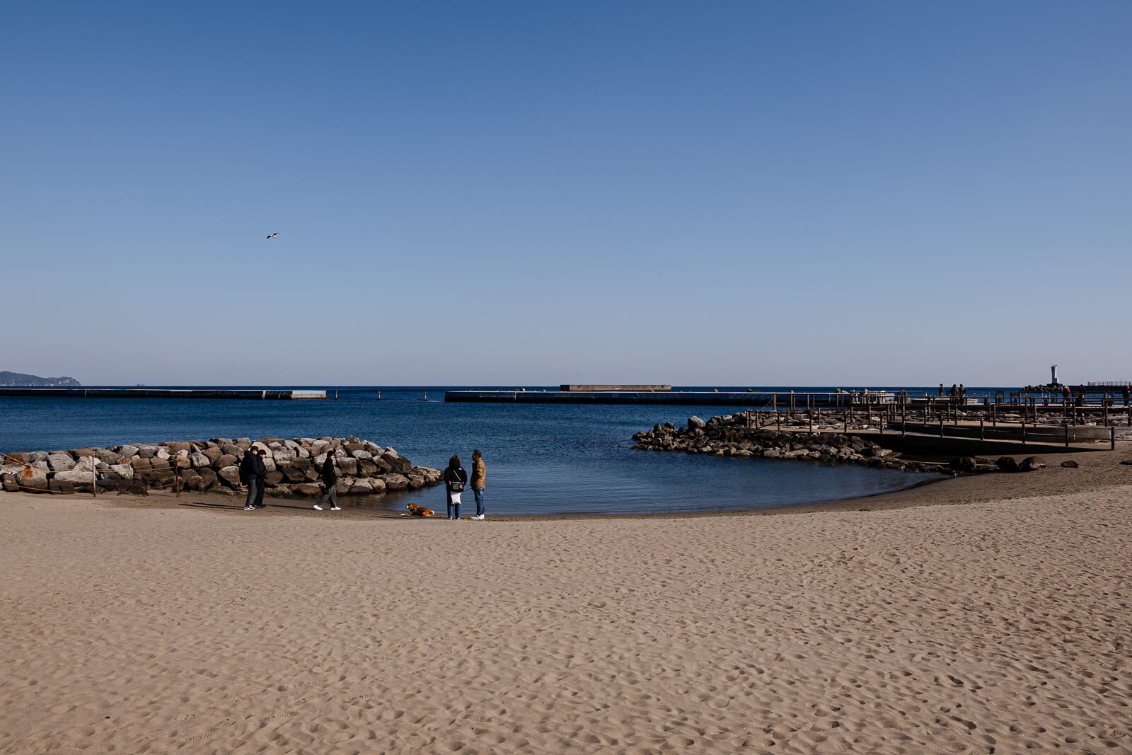 Curved shoreline of Atami Sun Beach along Atami Bay with marina visible
