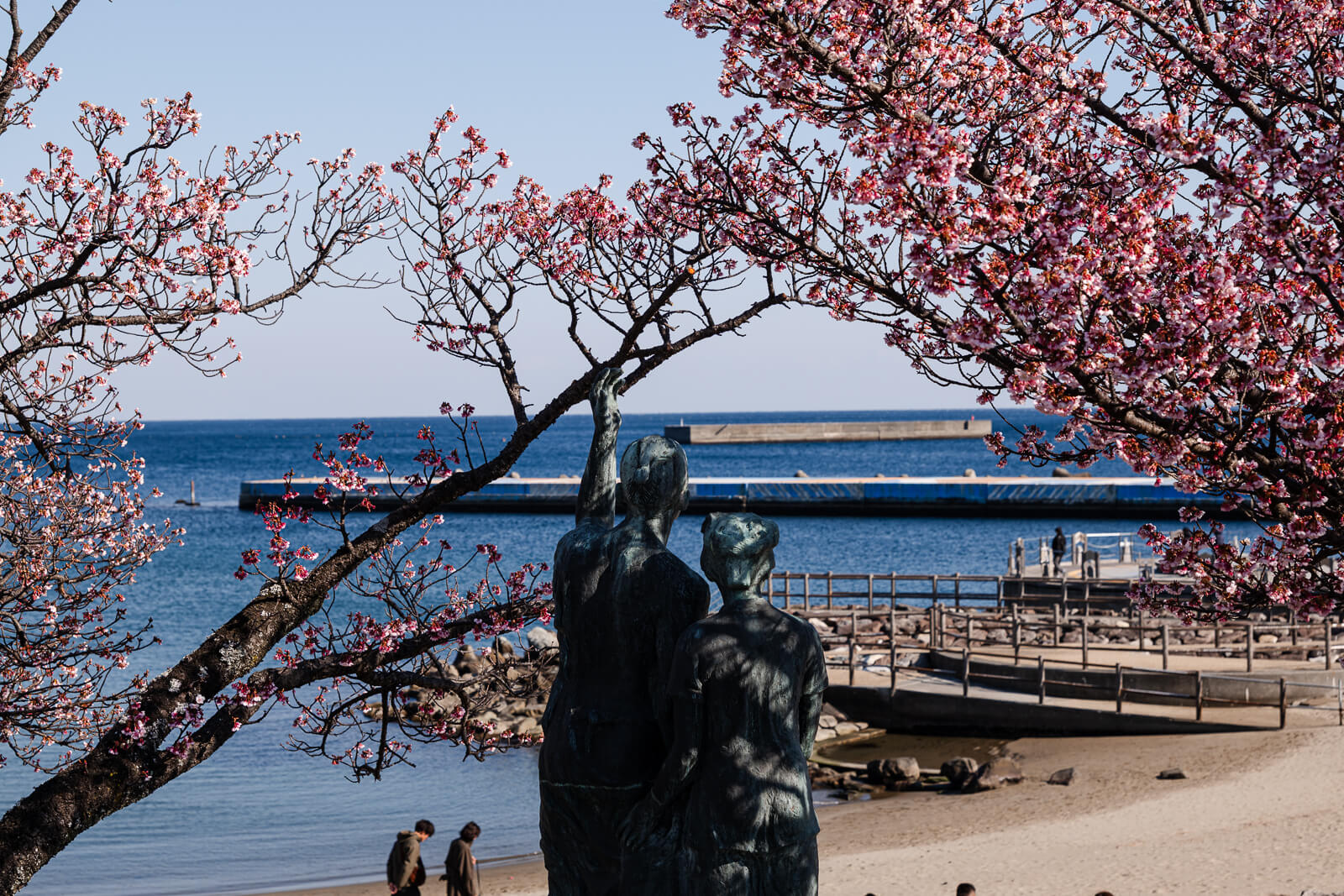 Cherry blossoms along the promenade overlooking Atami Sun Beach
