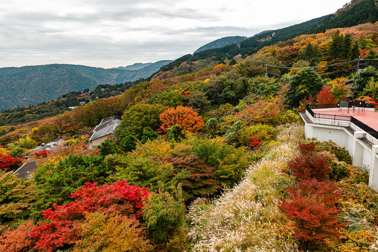 Autumn-colored Hakone mountains viewed from Sounzan Observation Terrace