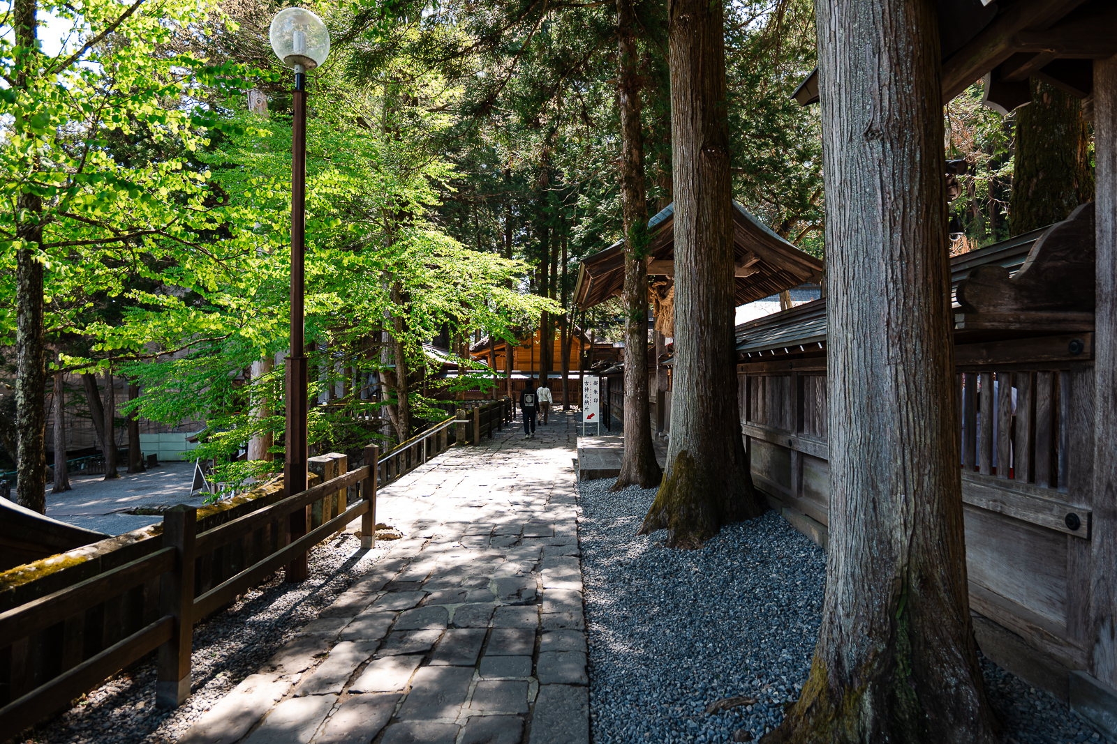 Cedar-lined path leading into shrine grounds at Suwa Taisha Kamisha Honmiya, Suwa