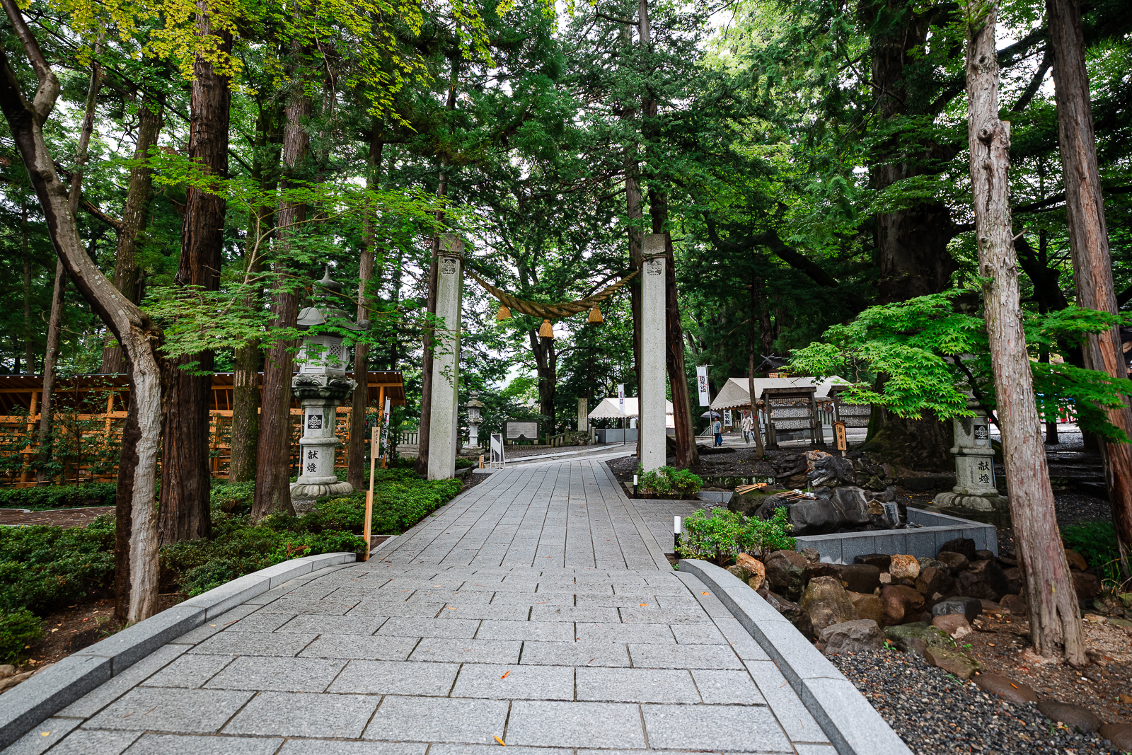 cedar-lined approach path at Suwa Taisha Shimosha Akimiya in Shimosuwa Nagano