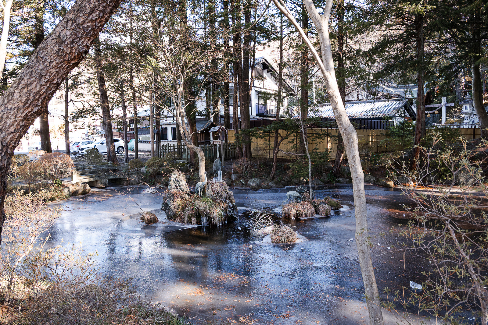 Chihiroike pond at Suwa Taisha Shimosha Akimiya in Shimosuwa Nagano