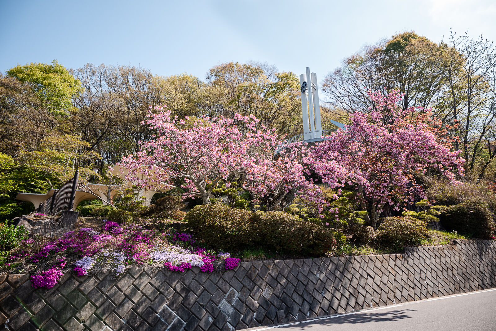 Cherry blossoms and observation tower at Tateishi Park overlooking Lake Suwa
