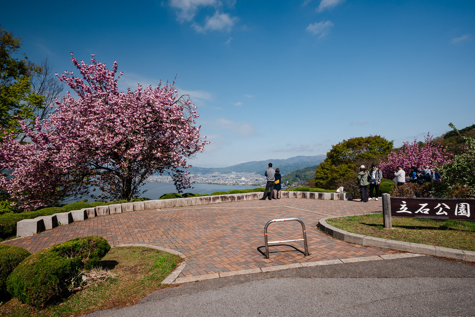 Cherry blossom lined promenade at Tateishi Park above Lake Suwa