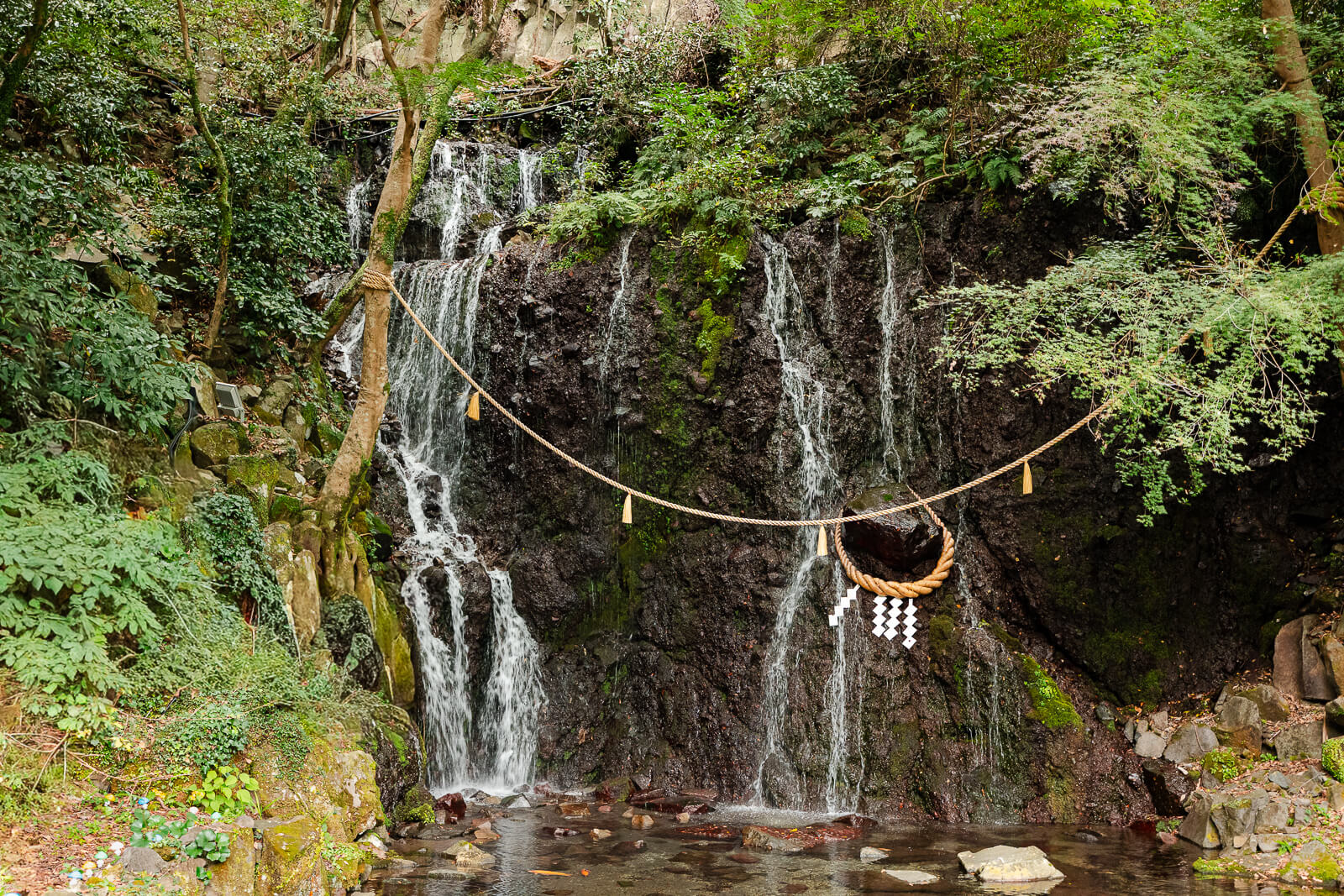 Tamadare Waterfall flowing through the wooded grounds of Tenseien in Hakone-Yumoto