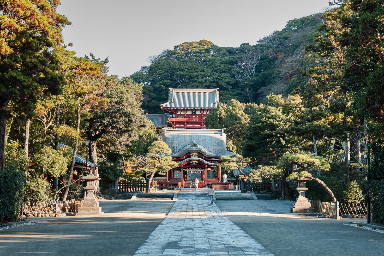 Stone approach leading toward the main shrine buildings of Tsurugaoka Hachimangū surrounded by autumn foliage in Kamakura