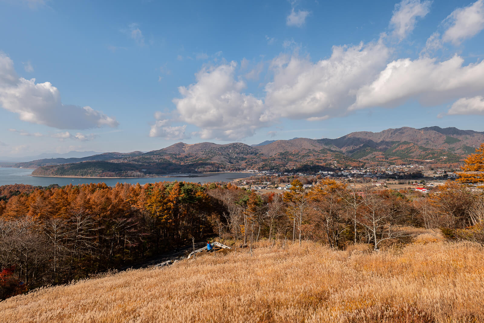 Grassy slope above the lake and town at Yamanakako Panoramadai