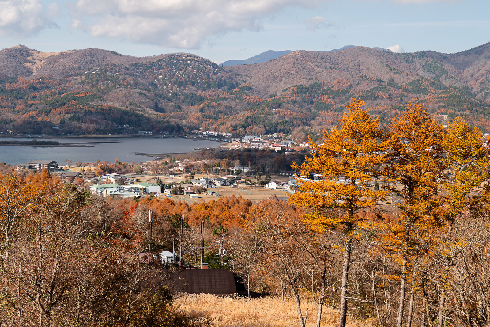 Lake settlement framed by golden trees at Yamanakako Panoramadai