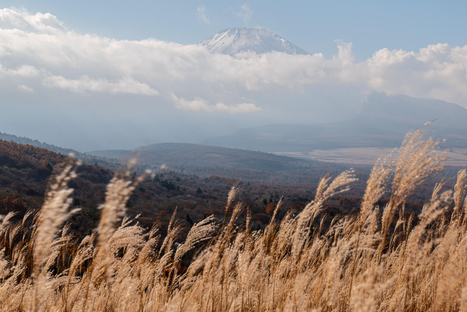 Grass and cloud layers with the summit beyond at Yamanakako Panoramadai