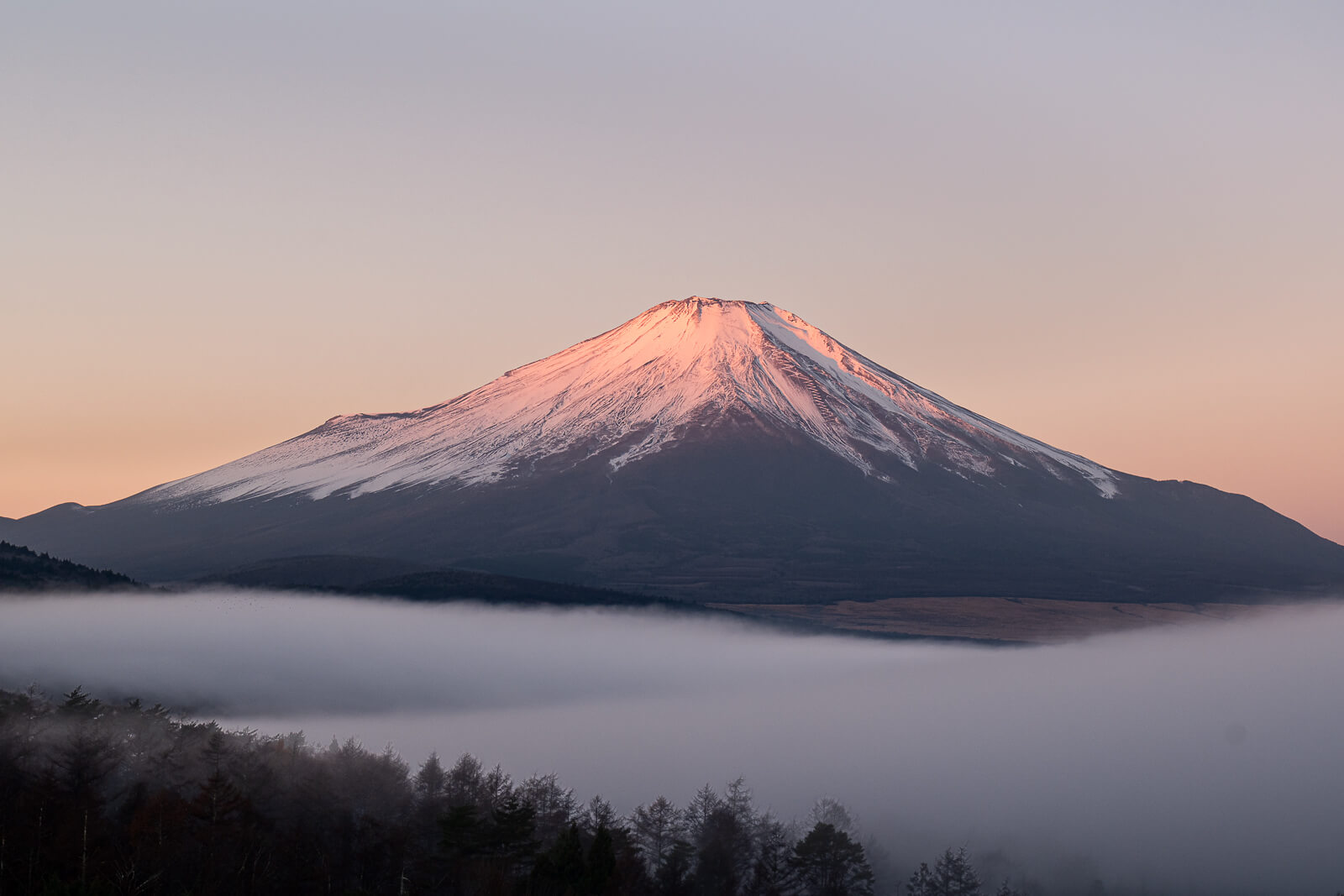 Pink sunrise light on Mount Fuji above lake fog at Yamanakako Panoramadai