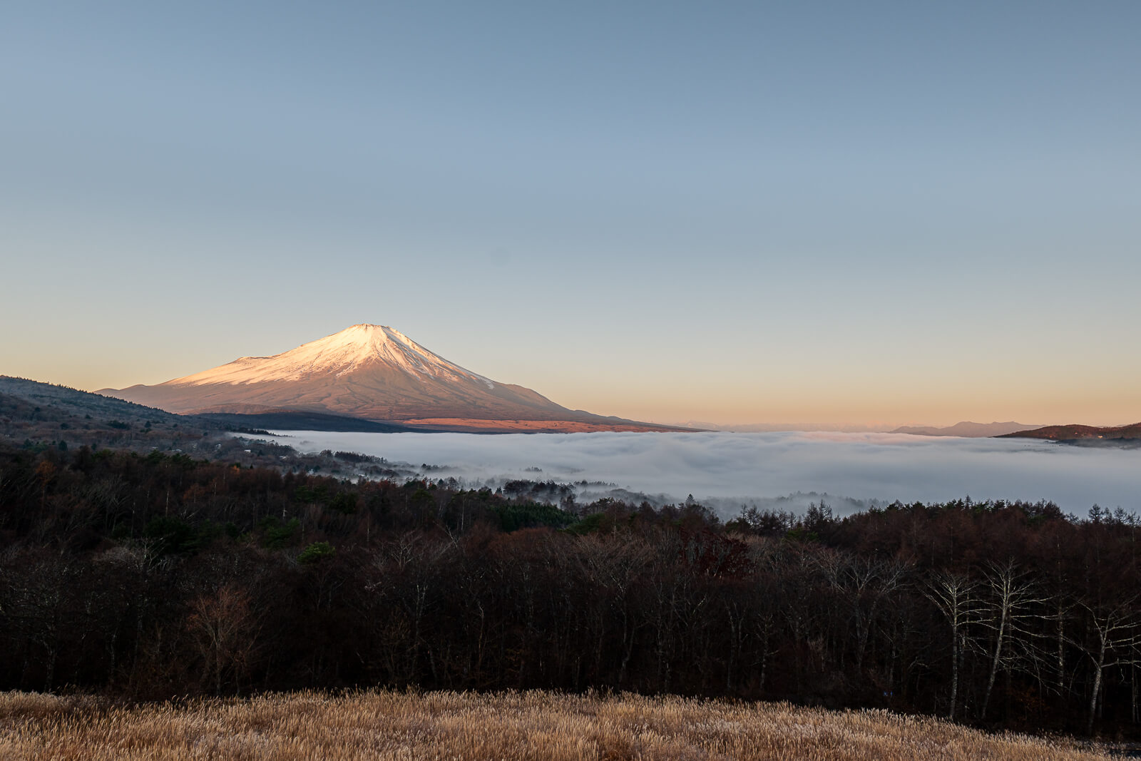 Wide Fuji, fog and grassy foreground at Yamanakako Panoramadai